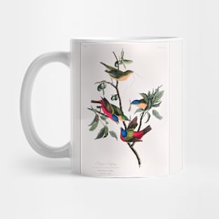 Painted Finch from Birds of America (1827) Mug